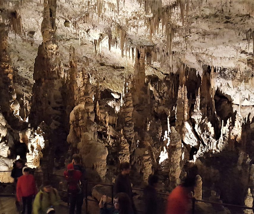 interior pestera postojna din slovenia