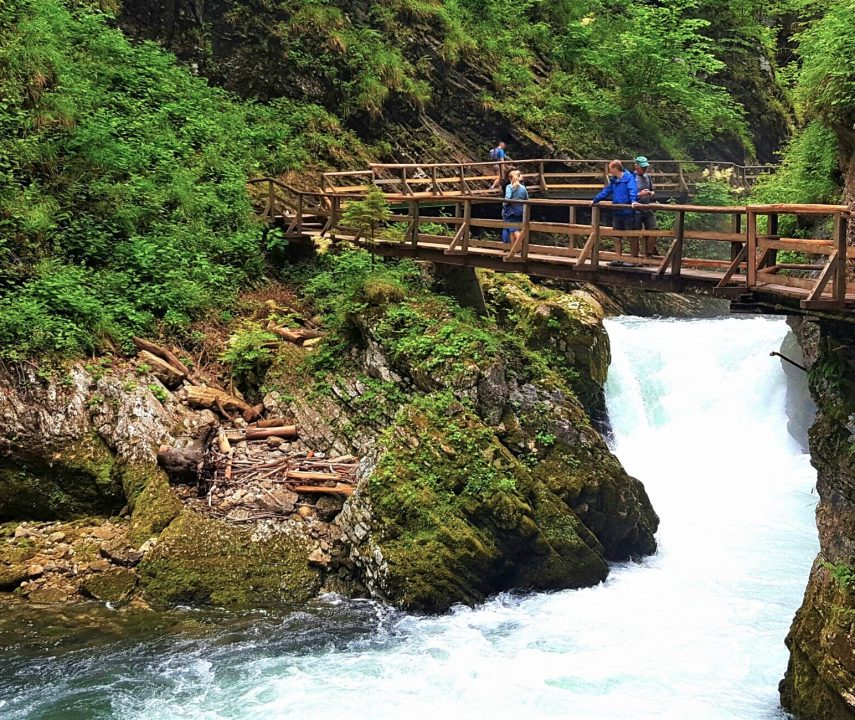 Cheile vintgar gorge din slovenia