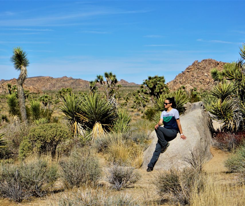 Parcul national joshua tree din california